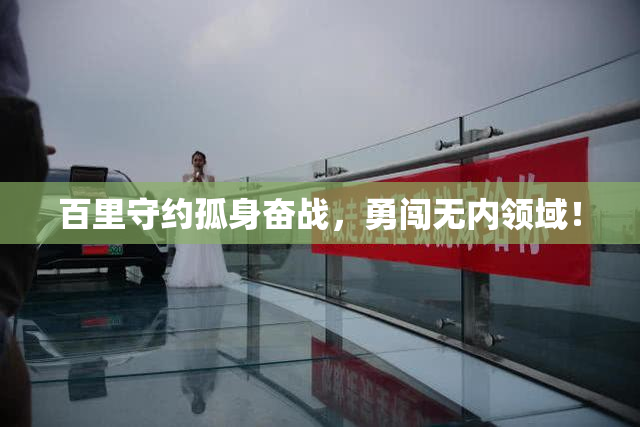 百里守约孤身奋战，勇闯无内领域！