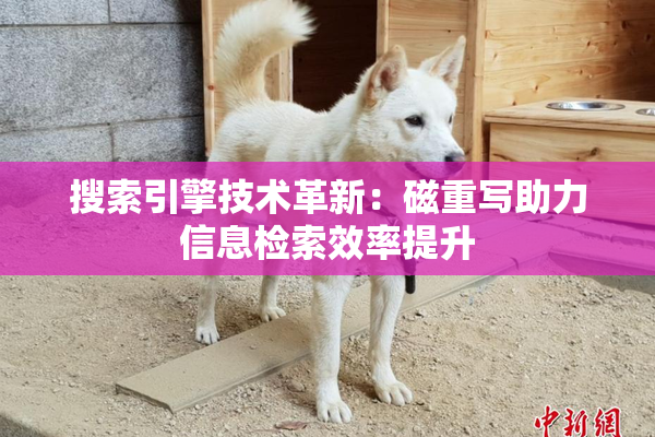 搜索引擎技术革新：磁重写助力信息检索效率提升