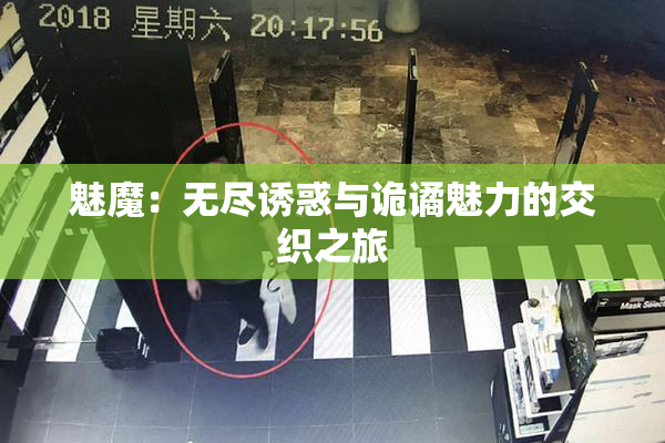 魅魔：无尽诱惑与诡谲魅力的交织之旅