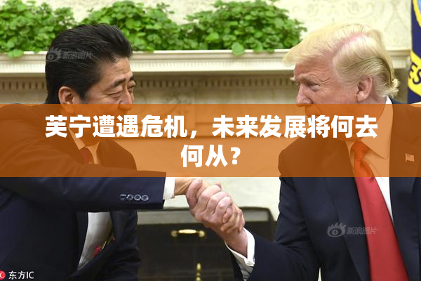 芙宁遭遇危机，未来发展将何去何从？