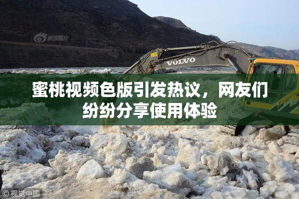 蜜桃视频色版引发热议，网友们纷纷分享使用体验