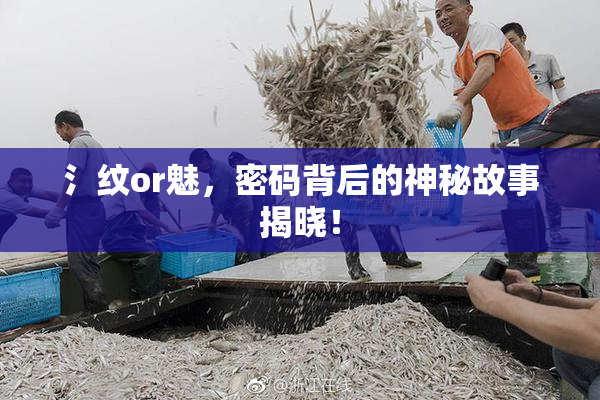 氵纹or魅，密码背后的神秘故事揭晓！