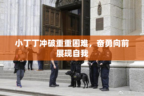 小丁丁冲破重重困难，奋勇向前展现自我