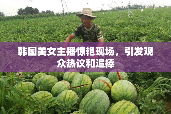 韩国美女主播惊艳现场，引发观众热议和追捧