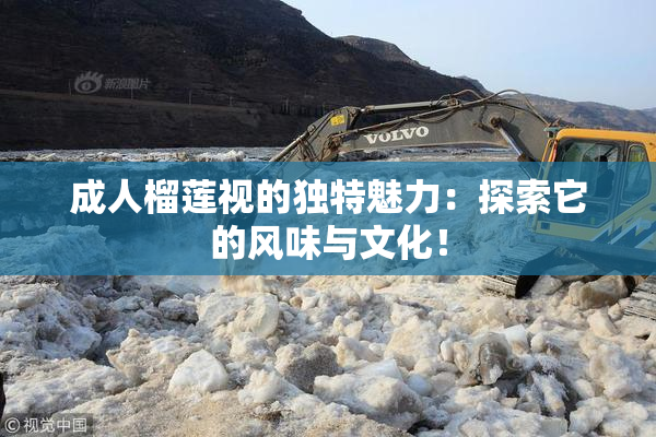 成人榴莲视的独特魅力：探索它的风味与文化！