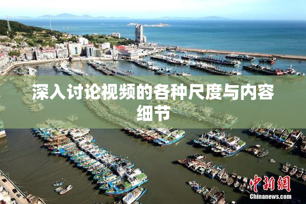深入讨论视频的各种尺度与内容细节