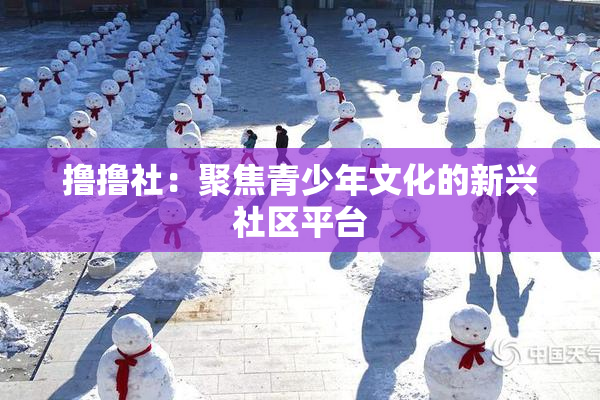 撸撸社：聚焦青少年文化的新兴社区平台