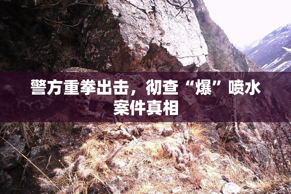 警方重拳出击，彻查“爆”喷水案件真相