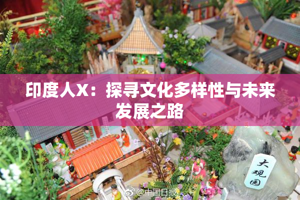 印度人X：探寻文化多样性与未来发展之路