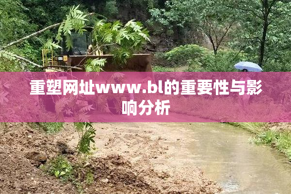 重塑网址www.bl的重要性与影响分析