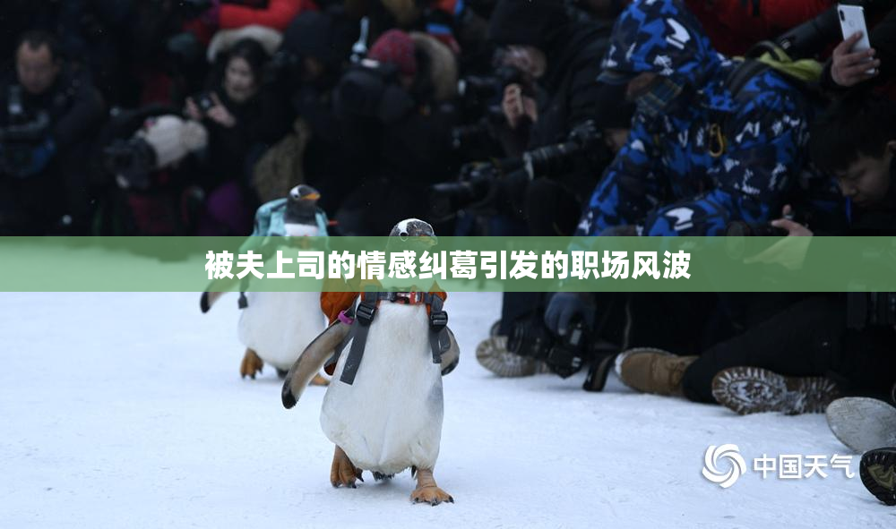 被夫上司的情感纠葛引发的职场风波