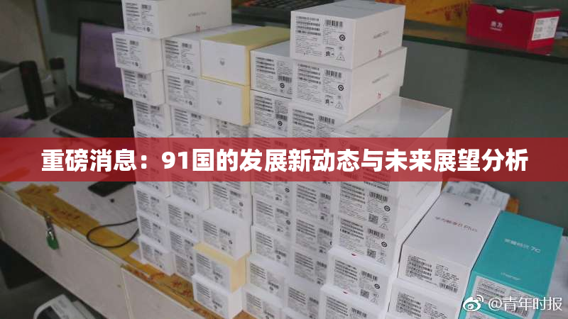 重磅消息：91国的发展新动态与未来展望分析