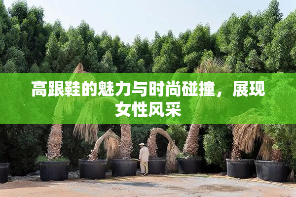 高跟鞋的魅力与时尚碰撞，展现女性风采