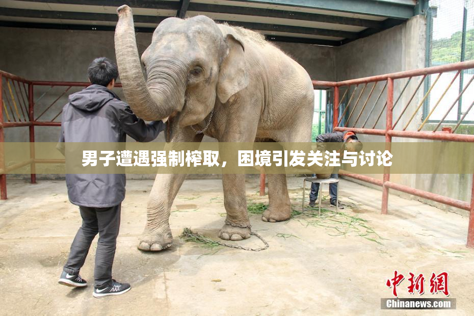 男子遭遇强制榨取，困境引发关注与讨论