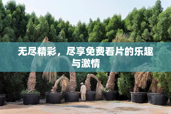 无尽精彩，尽享免费看片的乐趣与激情