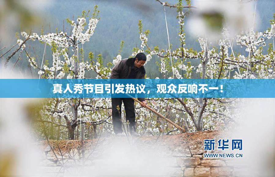 真人秀节目引发热议，观众反响不一！