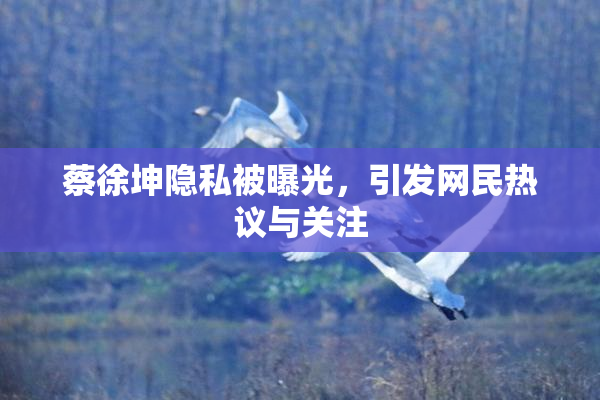 蔡徐坤隐私被曝光，引发网民热议与关注