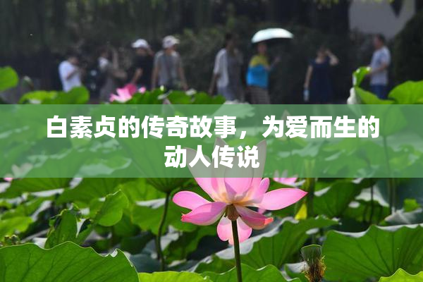 白素贞的传奇故事，为爱而生的动人传说