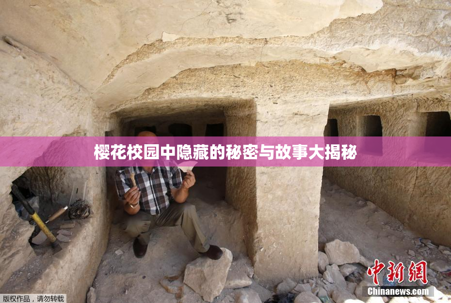 樱花校园中隐藏的秘密与故事大揭秘