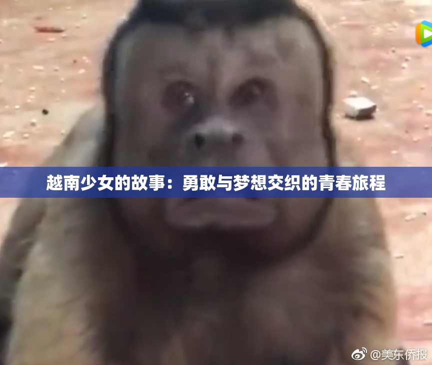 越南少女的故事：勇敢与梦想交织的青春旅程
