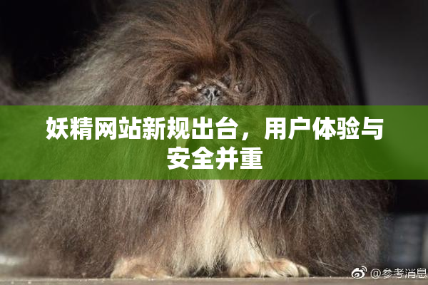 妖精网站新规出台，用户体验与安全并重