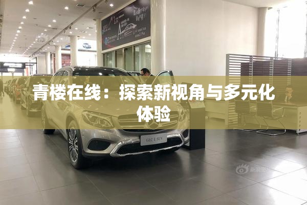青楼在线：探索新视角与多元化体验