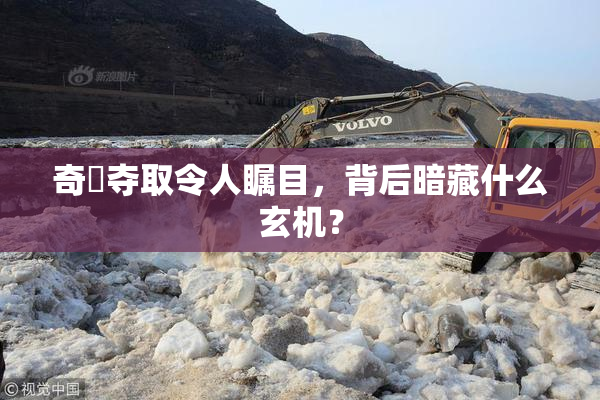 奇犽夺取令人瞩目，背后暗藏什么玄机？
