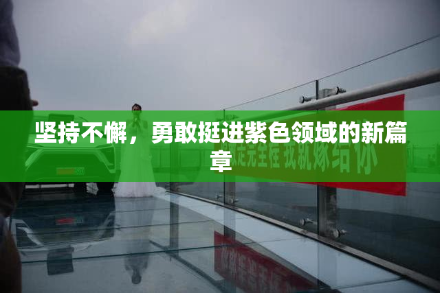 坚持不懈，勇敢挺进紫色领域的新篇章
