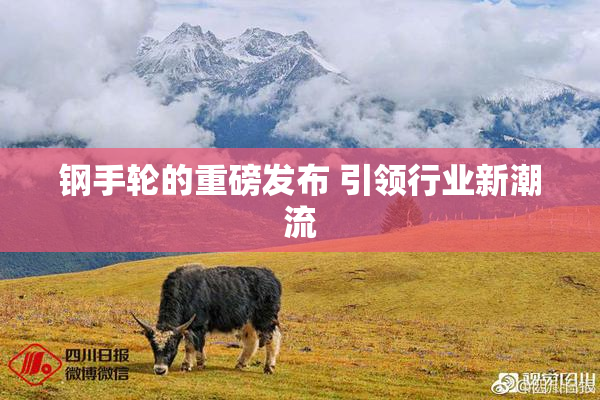 钢手轮的重磅发布 引领行业新潮流