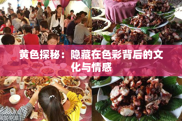 黄色探秘：隐藏在色彩背后的文化与情感