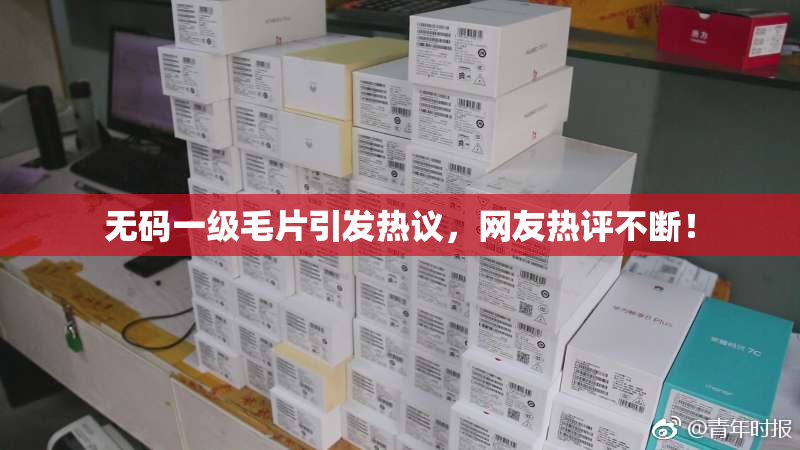 无码一级毛片引发热议，网友热评不断！