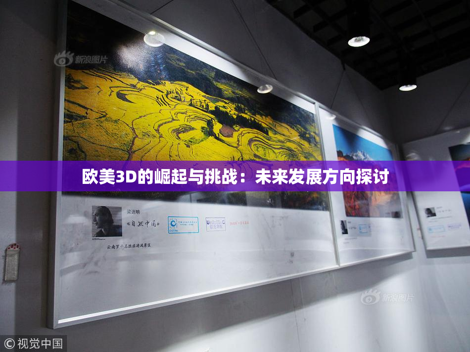 欧美3D的崛起与挑战：未来发展方向探讨