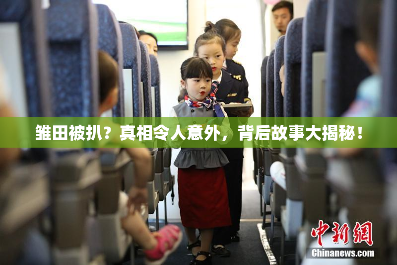 雏田被扒？真相令人意外，背后故事大揭秘！