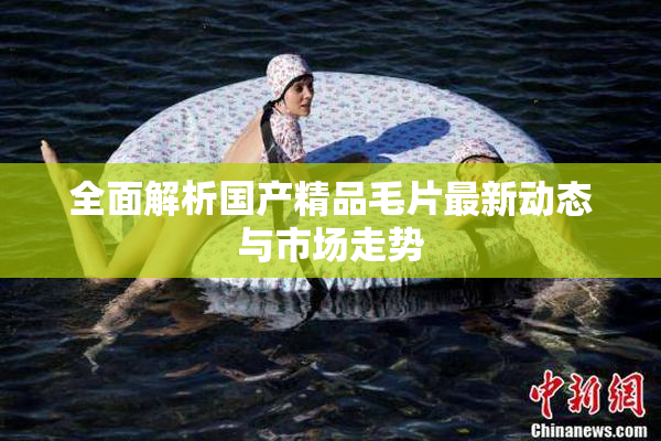 全面解析国产精品毛片最新动态与市场走势