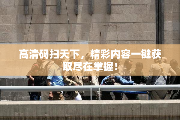 高清码扫天下，精彩内容一键获取尽在掌握！