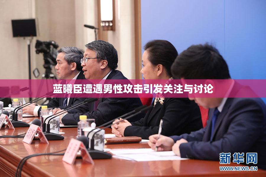 蓝曦臣遭遇男性攻击引发关注与讨论