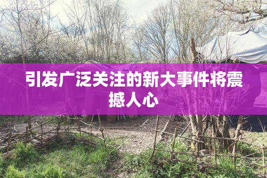 引发广泛关注的新大事件将震撼人心