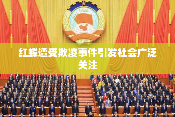 红蝶遭受欺凌事件引发社会广泛关注