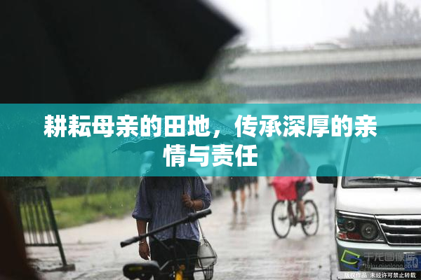 耕耘母亲的田地，传承深厚的亲情与责任