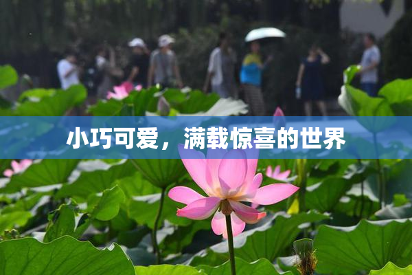 小巧可爱，满载惊喜的世界