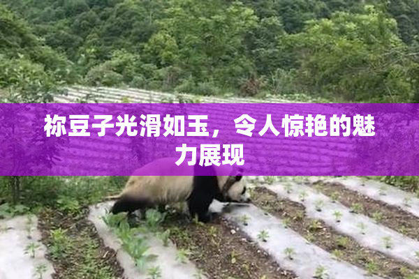 祢豆子光滑如玉，令人惊艳的魅力展现
