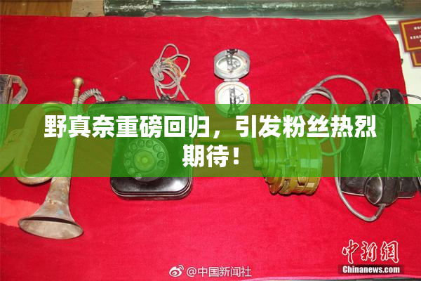 野真奈重磅回归，引发粉丝热烈期待！