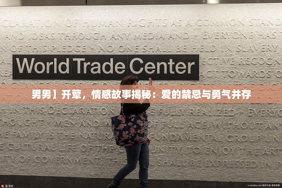 男男】开荤，情感故事揭秘：爱的禁忌与勇气并存