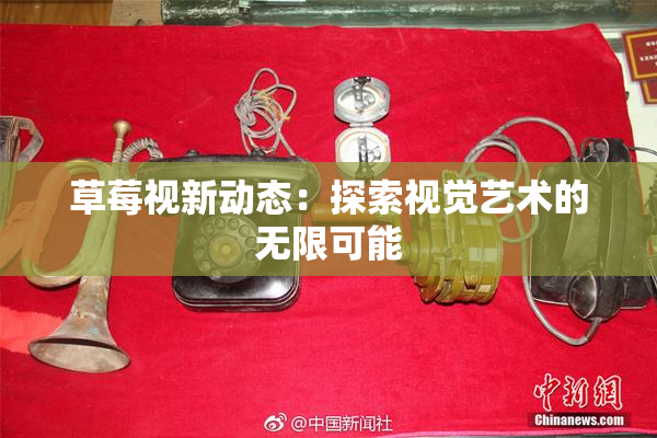 草莓视新动态：探索视觉艺术的无限可能