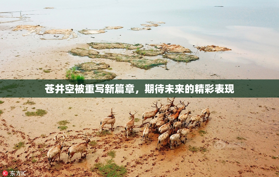 苍井空被重写新篇章，期待未来的精彩表现