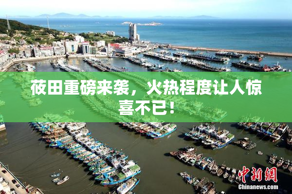 莜田重磅来袭，火热程度让人惊喜不已！