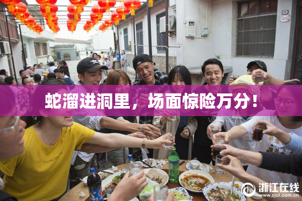 蛇溜进洞里，场面惊险万分！