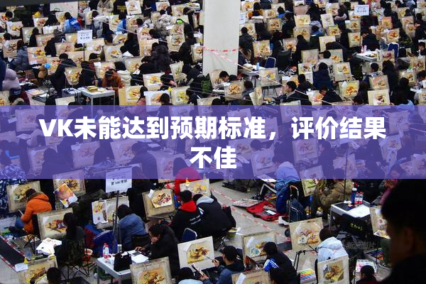 VK未能达到预期标准，评价结果不佳