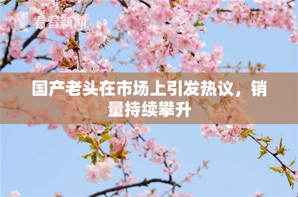 国产老头在市场上引发热议，销量持续攀升