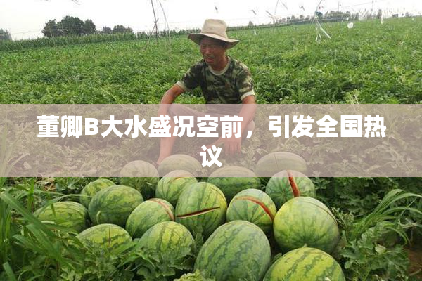 董卿B大水盛况空前，引发全国热议